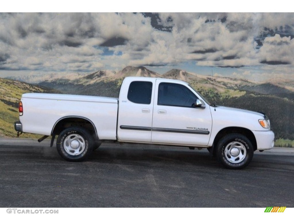 2003 Tundra SR5 Access Cab 4x4 - Natural White / Gray photo #2