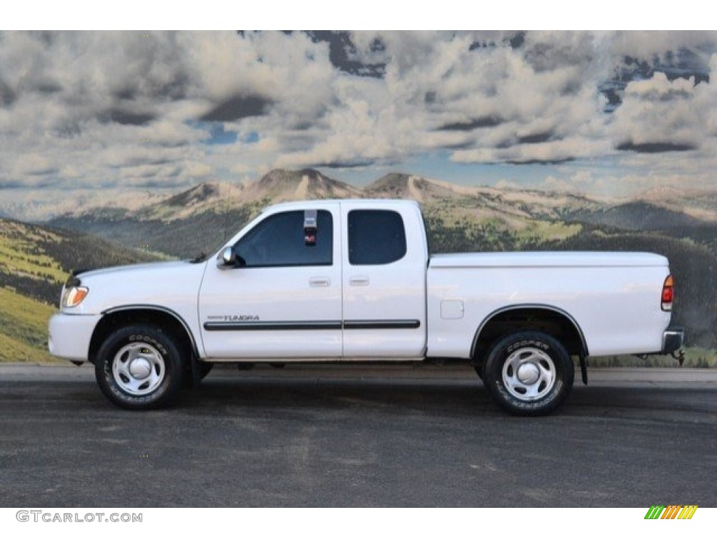 2003 Tundra SR5 Access Cab 4x4 - Natural White / Gray photo #6