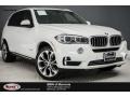 Alpine White - X5 sDrive35i Photo No. 1