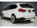 Alpine White - X5 sDrive35i Photo No. 10