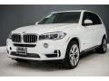 Alpine White - X5 sDrive35i Photo No. 14