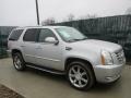 2010 Silver Lining Cadillac Escalade Luxury AWD  photo #1