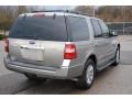Vapor Silver Metallic - Expedition XLT Photo No. 5