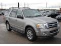 Vapor Silver Metallic - Expedition XLT Photo No. 7