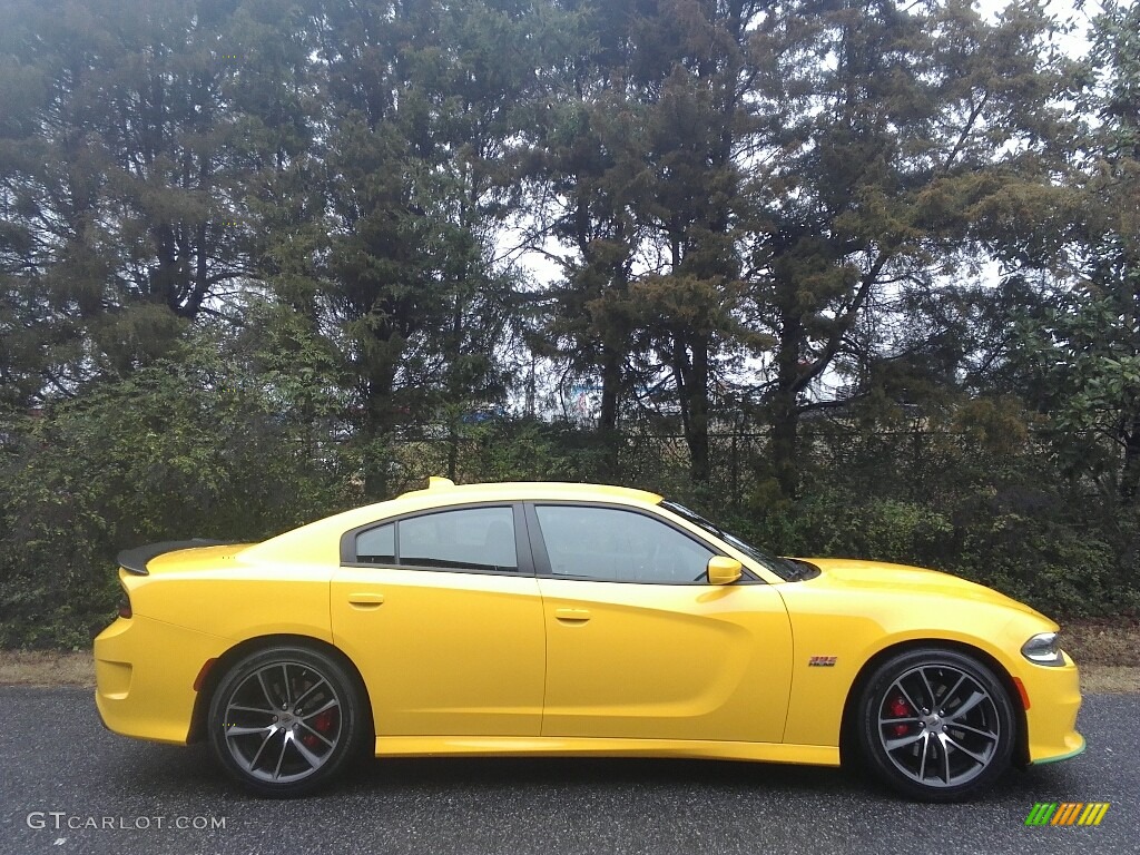 Yellow Jacket 2017 Dodge Charger R/T Scat Pack Exterior Photo #117882148