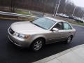 Golden Beige - Sonata GLS V6 Photo No. 5