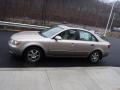 Golden Beige - Sonata GLS V6 Photo No. 6