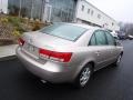 Golden Beige - Sonata GLS V6 Photo No. 9
