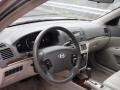 Golden Beige - Sonata GLS V6 Photo No. 11