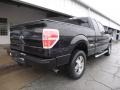 Tuxedo Black - F150 STX SuperCab 4x4 Photo No. 3