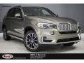 2017 Atlas Cedar Metallic BMW X5 sDrive35i  photo #1