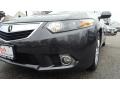 Graphite Luster Metallic - TSX Sedan Photo No. 31