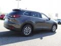 Titanium Flash Mica - CX-9 Touring Photo No. 3