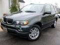 Highland Green Metallic - X5 3.0i Photo No. 1