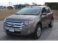 2013 Mineral Gray Metallic Ford Edge SEL AWD  photo #10