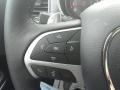 Black Controls Photo for 2017 Dodge Charger #117924331