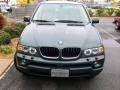Highland Green Metallic - X5 3.0i Photo No. 2