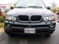 Highland Green Metallic - X5 3.0i Photo No. 3