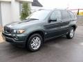 Highland Green Metallic - X5 3.0i Photo No. 4