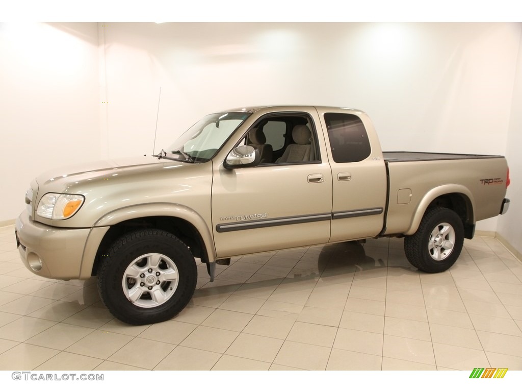 2005 Tundra SR5 Access Cab 4x4 - Desert Sand Mica / Taupe photo #3