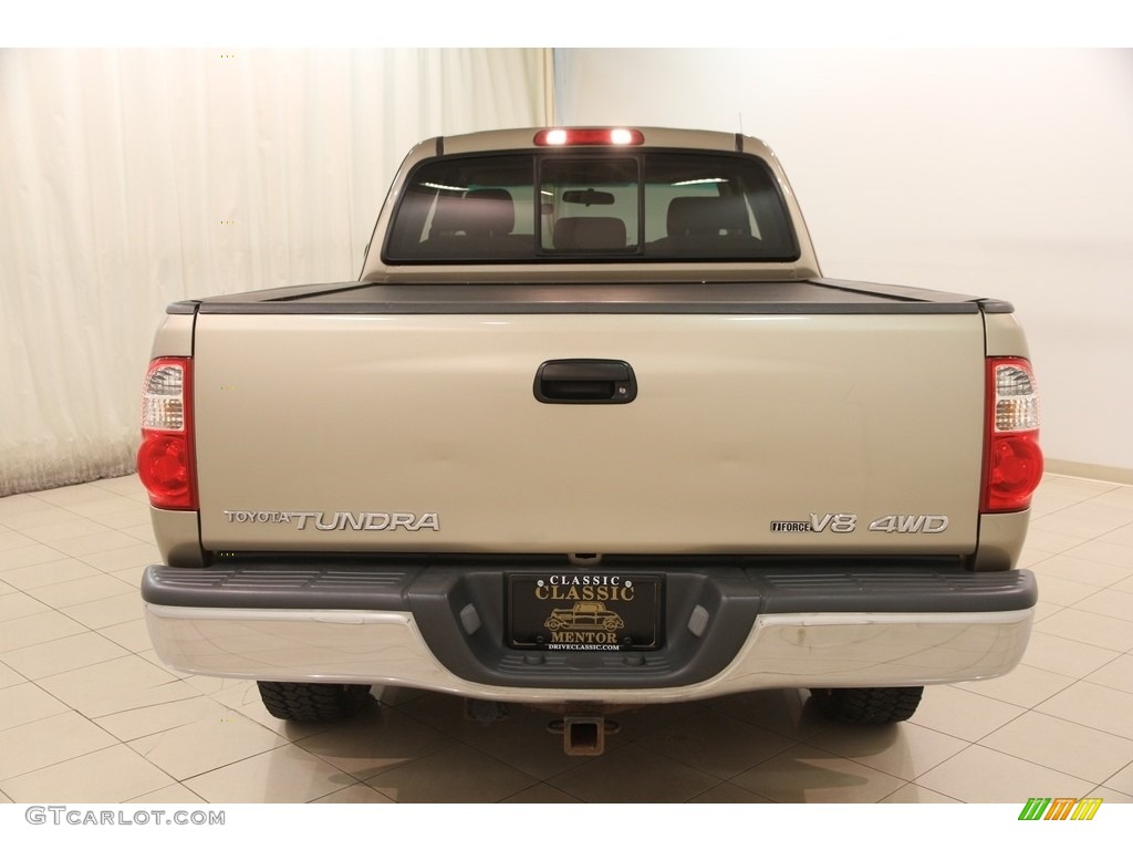 2005 Tundra SR5 Access Cab 4x4 - Desert Sand Mica / Taupe photo #18