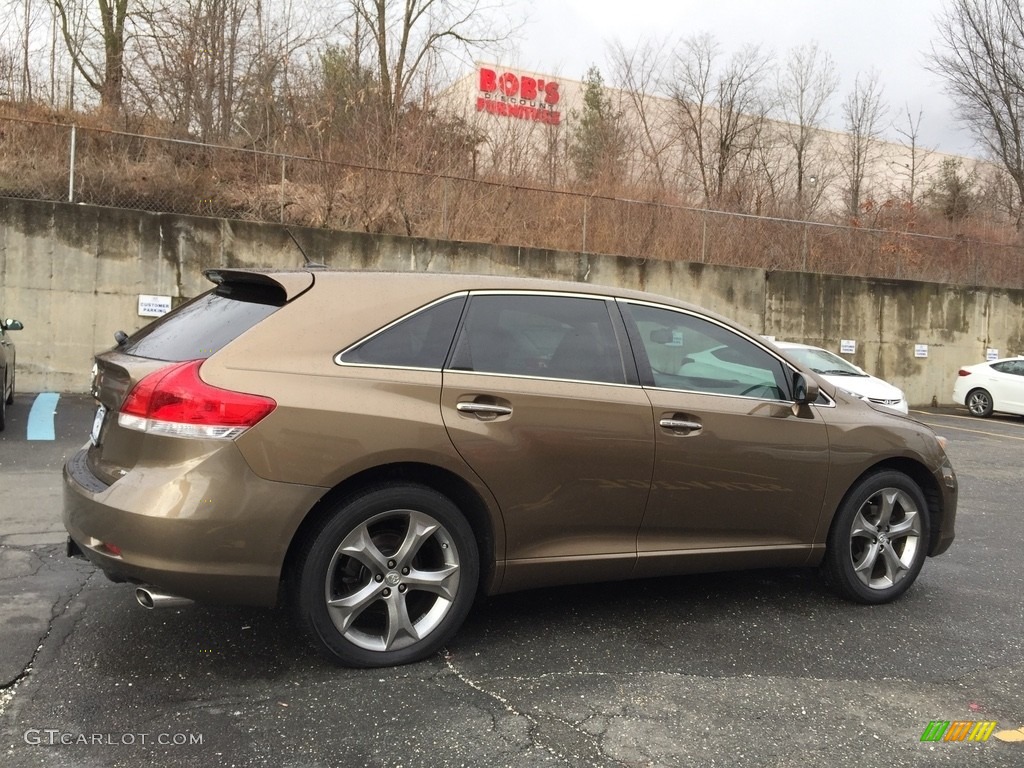 2010 Venza V6 AWD - Golden Umber Mica / Gray photo #4