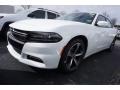 White Knuckle - Charger SXT Photo No. 1
