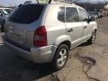 2007 Platinum Metallic Hyundai Tucson GLS  photo #4