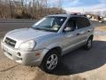 2007 Platinum Metallic Hyundai Tucson GLS  photo #8