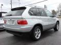 2003 Titanium Silver Metallic BMW X5 3.0i  photo #5