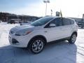 2013 White Platinum Metallic Tri-Coat Ford Escape SEL 2.0L EcoBoost 4WD  photo #7