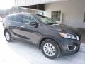 Platinum Graphite - Sorento LX V6 AWD Photo No. 9