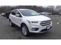 White Platinum - Escape SE 4WD Photo No. 1