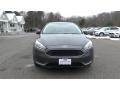 Magnetic - Focus SE Sedan Photo No. 2