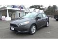 Magnetic - Focus SE Sedan Photo No. 3