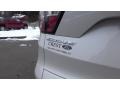 White Platinum - Escape SE 4WD Photo No. 10