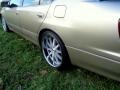 2001 Burnished Gold Lexus GS 300  photo #19