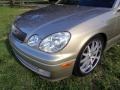 2001 Burnished Gold Lexus GS 300  photo #23