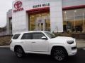 Blizzard White - 4Runner Limited 4x4 Photo No. 2