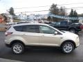 2017 White Gold Ford Escape SE 4WD  photo #4