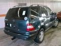 Orion Blue Metallic - ML 350 4Matic Photo No. 2