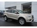 2017 White Gold Ford Escape SE  photo #1