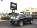 Dark Granite Metallic - Escalade Luxury 4WD Photo No. 1