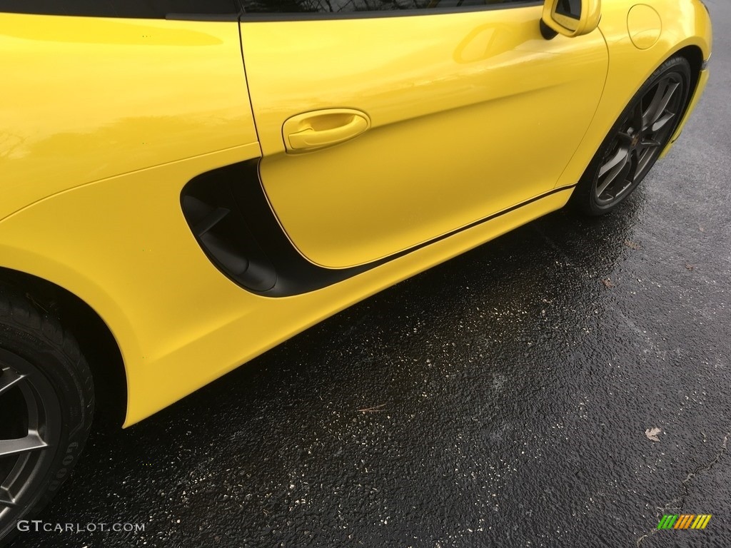 2013 Boxster  - Racing Yellow / Black photo #20