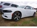 White Knuckle 2017 Dodge Charger SE Exterior