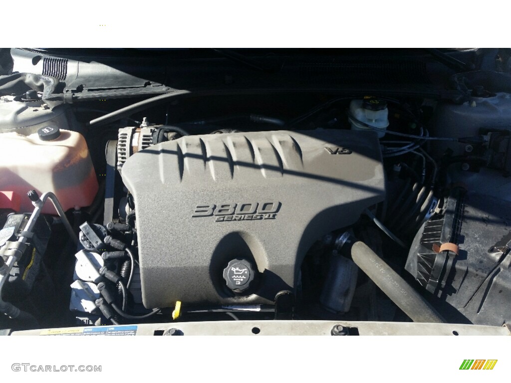 2004 LeSabre Custom - Platinum Metallic / Graphite photo #22