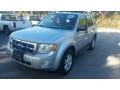 2009 Brilliant Silver Metallic Ford Escape XLT  photo #7