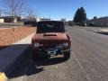 Copper - Bronco 4x4 Photo No. 8