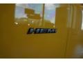 YellowJacket - Challenger R/T Photo No. 10
