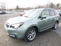 2017 Jasmine Green Metallic Subaru Forester 2.5i Touring  photo #12